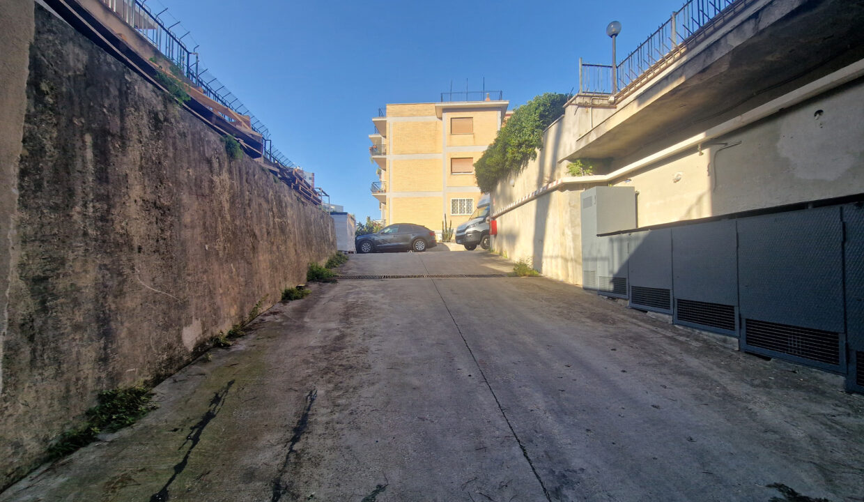 20241031_091716
