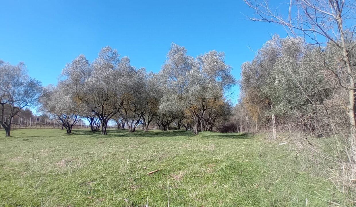 1df8690b-2cd6-43f1-97e9-02203c5967da