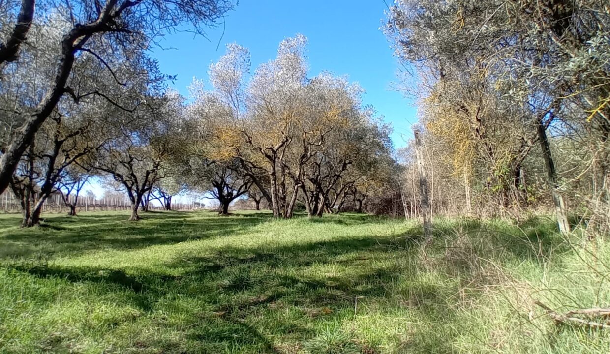 4974231e-f033-4399-8233-b01da403b6df