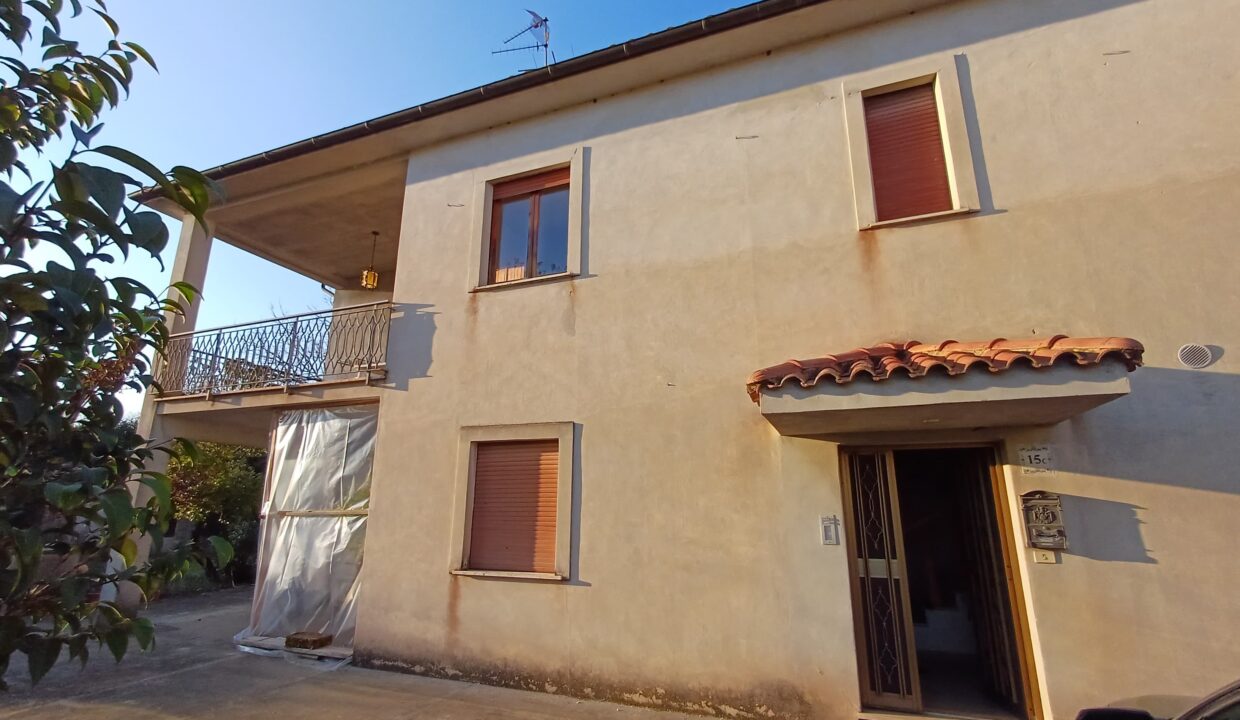IMG-20250312-WA0037