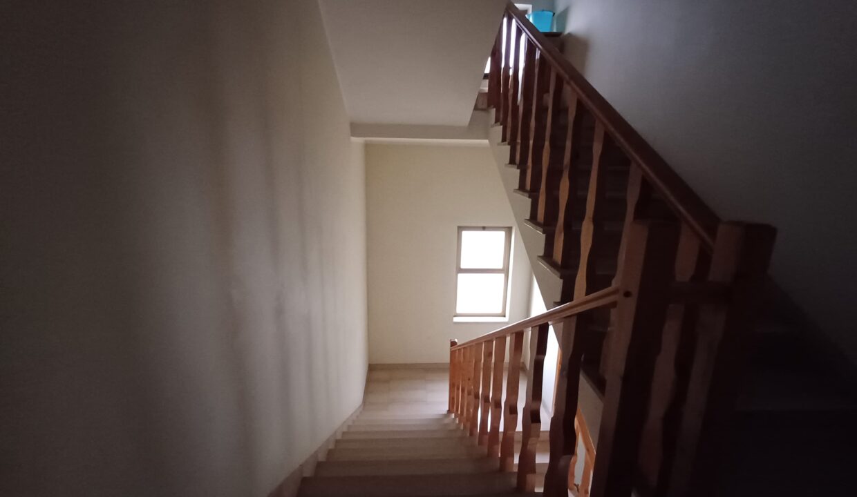 IMG-20250312-WA0047