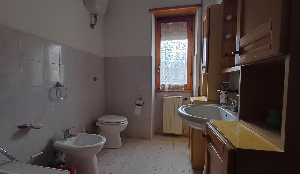 IMG-20250312-WA0053