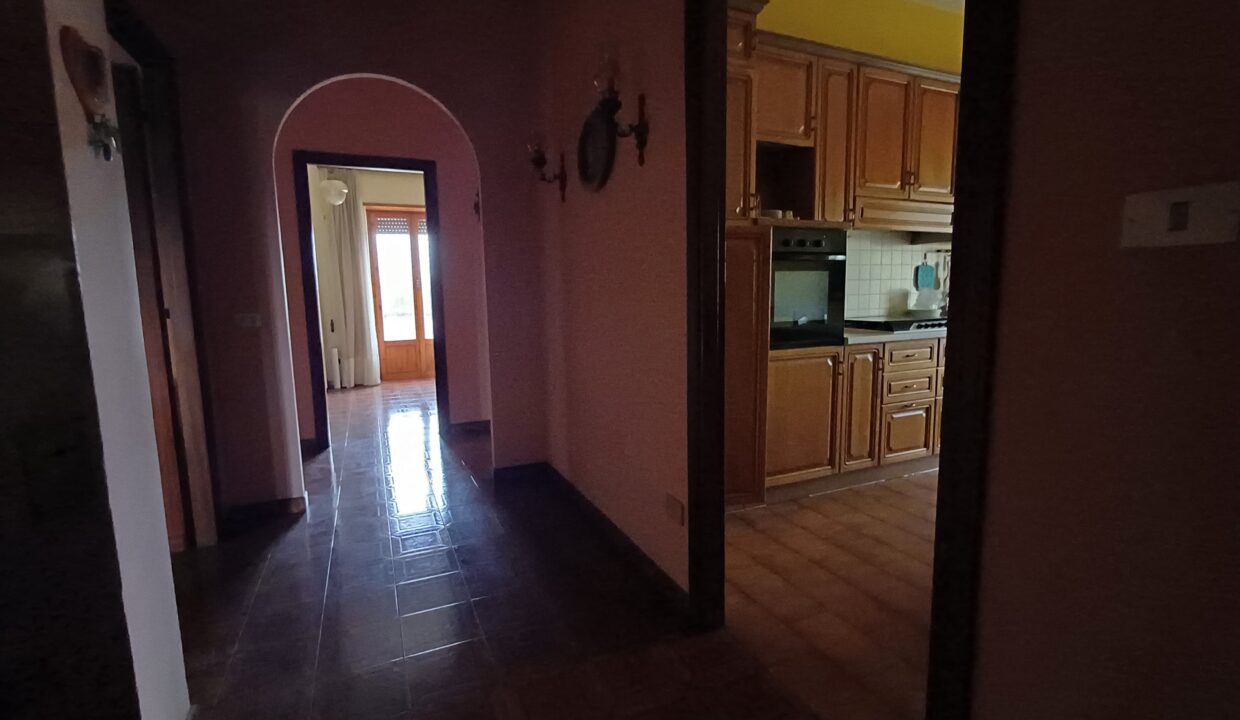 IMG-20250312-WA0064