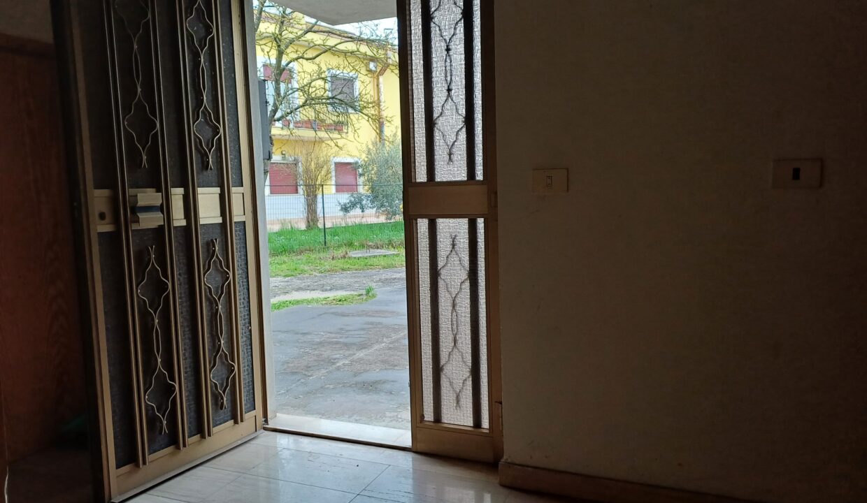 IMG-20250312-WA0069