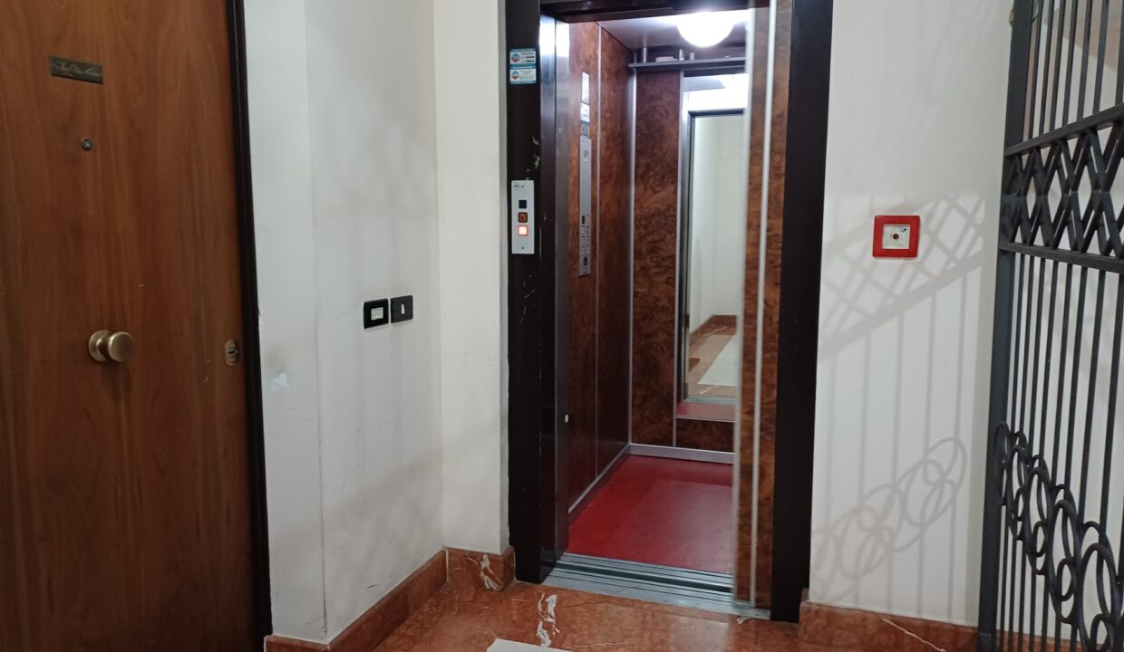 IMG-20250317-WA0026
