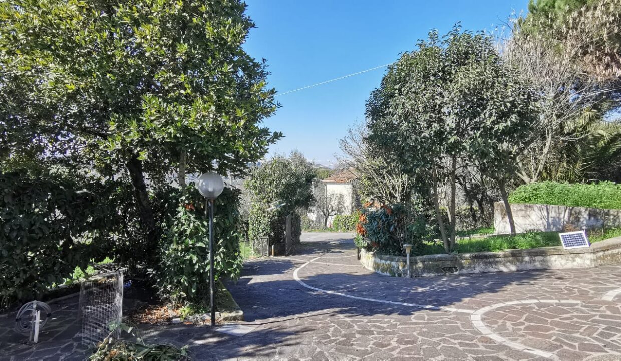 Immagine WhatsApp 2025-03-12 ore 12.21.23_3973bca0