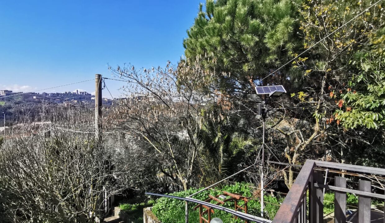 Immagine WhatsApp 2025-03-12 ore 12.21.24_afe59106