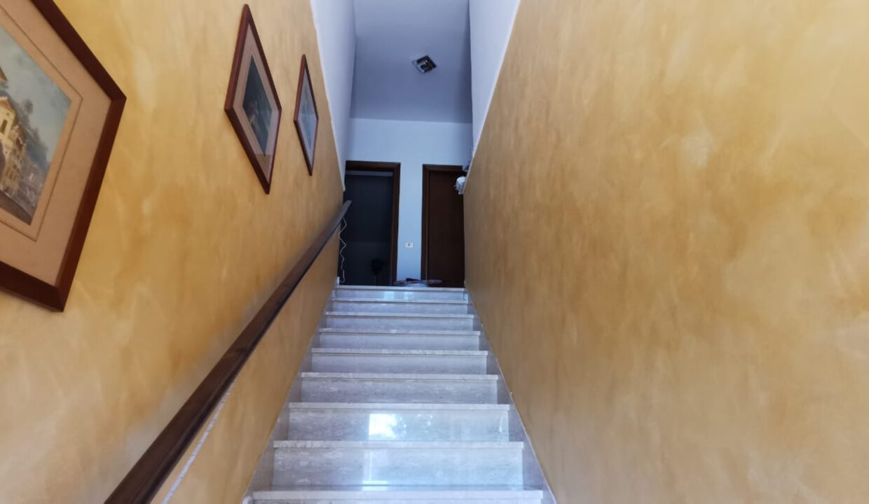 Immagine WhatsApp 2025-03-12 ore 12.21.27_4416bd13