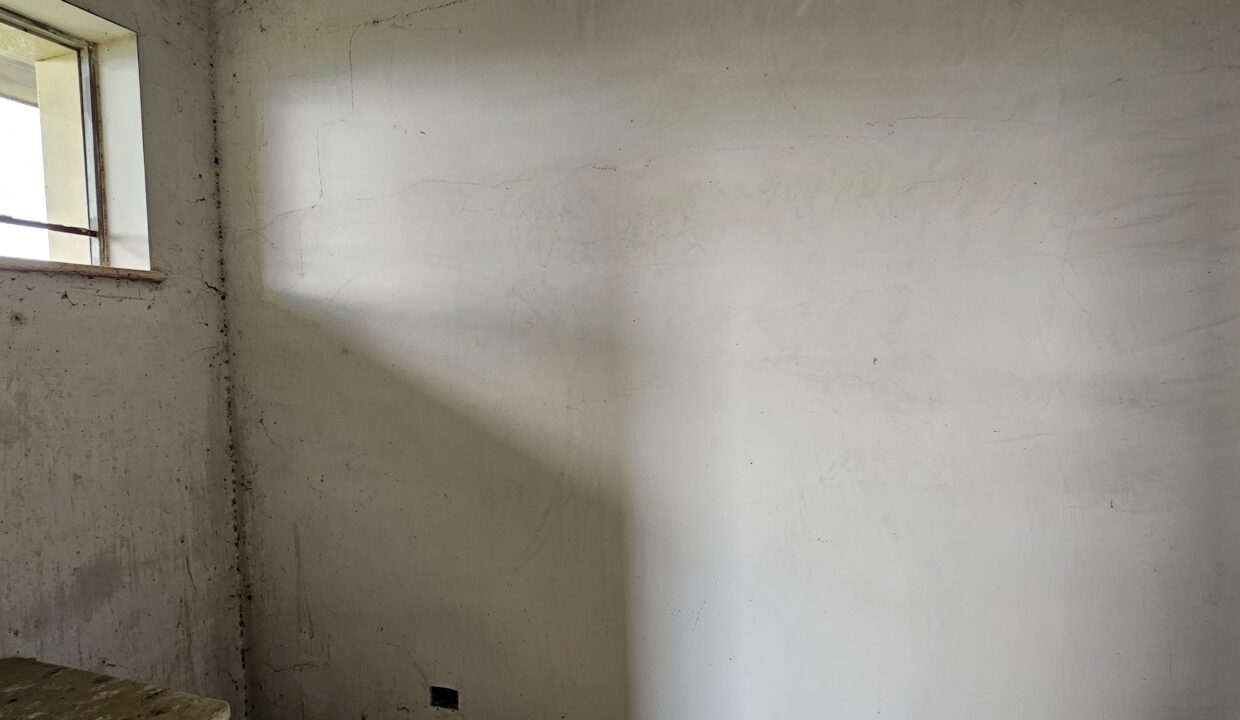 20250403_153725