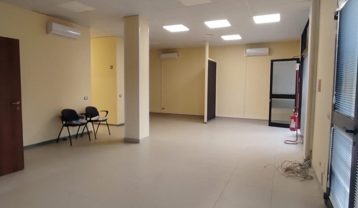 IMG-20250331-WA0064