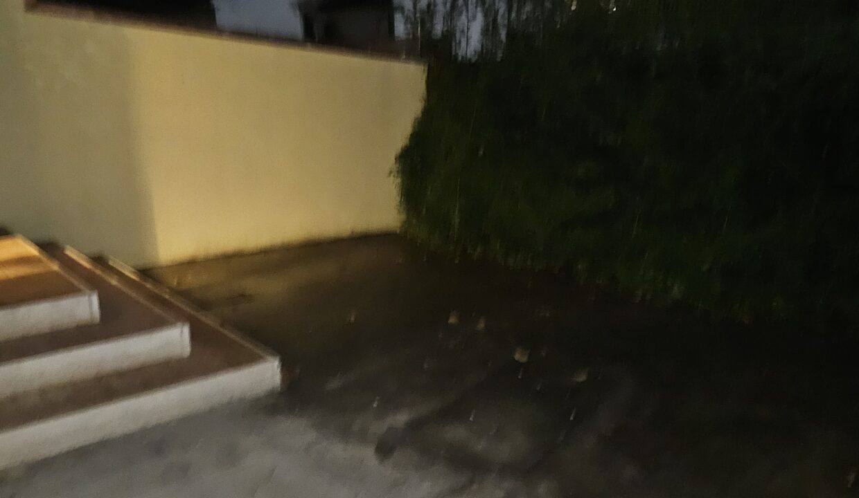 20241120_173620