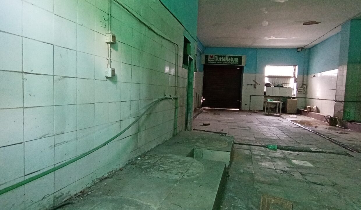 20250514_154645