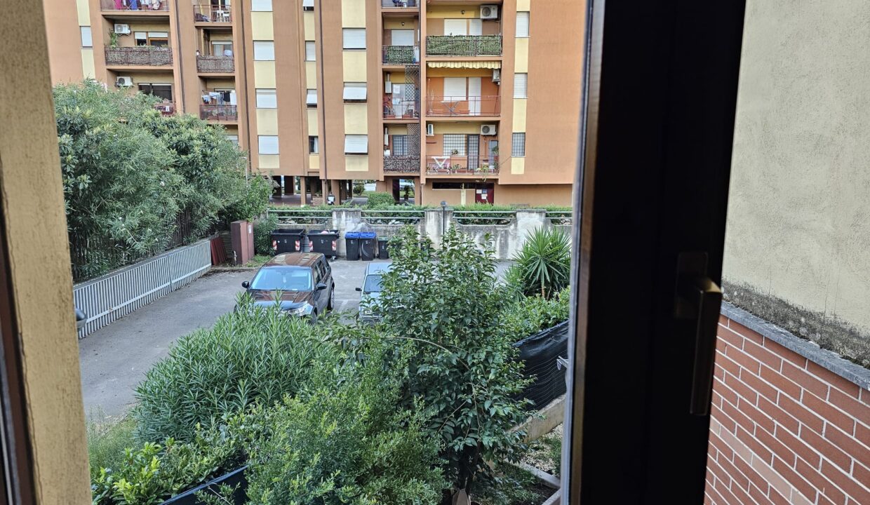 IMG-20241016-WA0019
