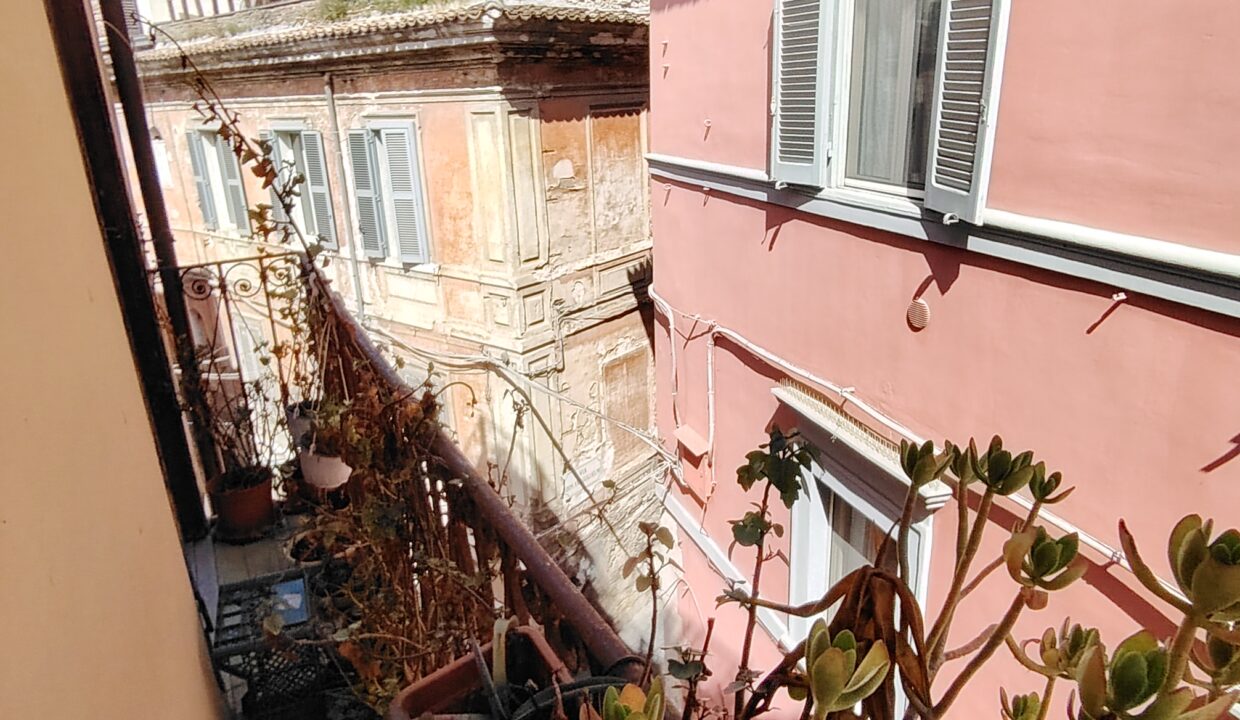 IMG_20250415_145355