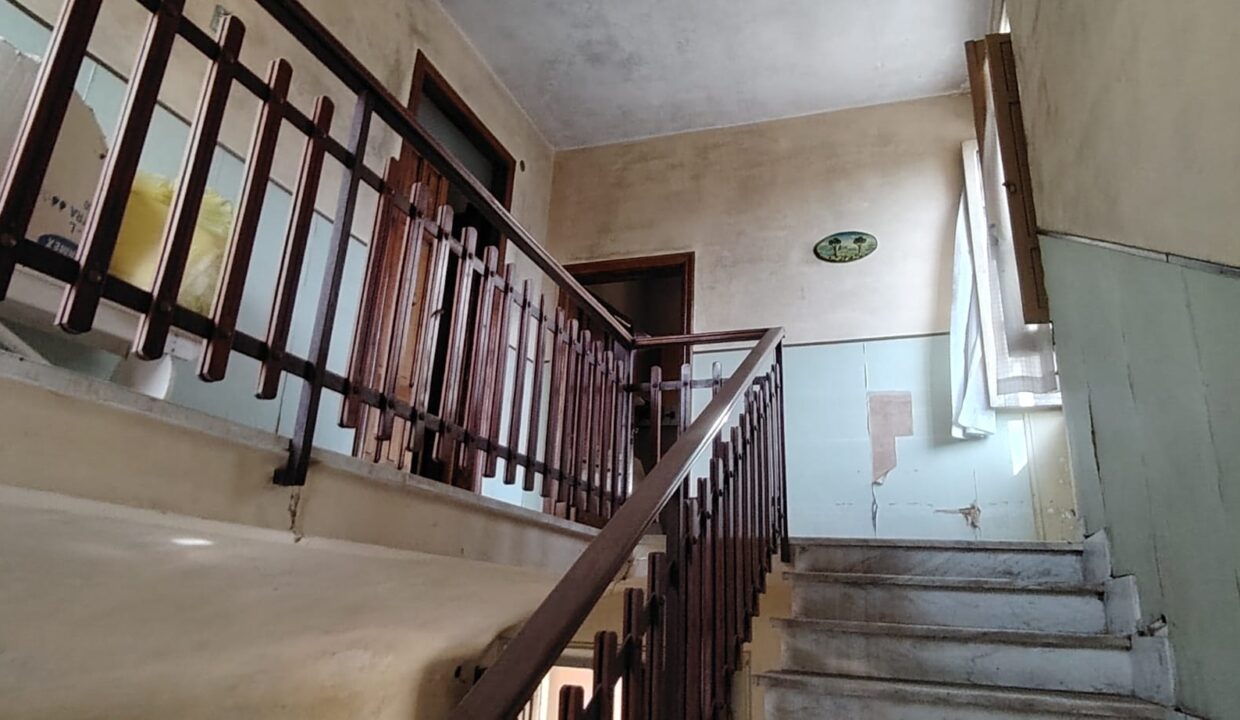 IMG-20241120-WA0009