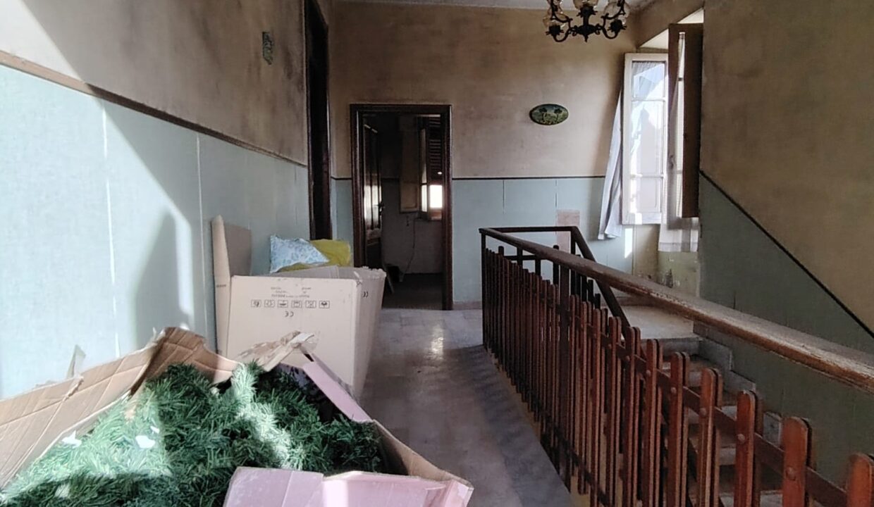IMG-20241120-WA0016