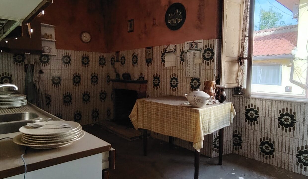 IMG-20241120-WA0020