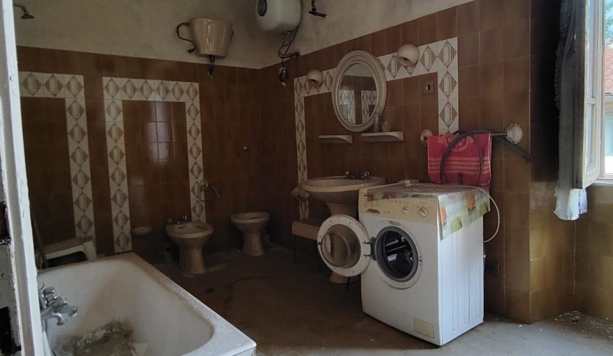 IMG-20241120-WA0024