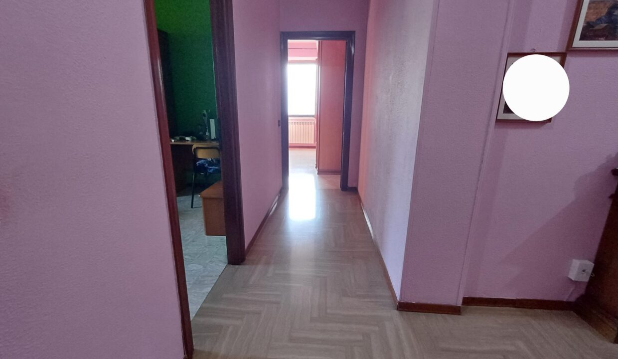 d1d1b1f7-659c-43ce-9c85-c260849b9968