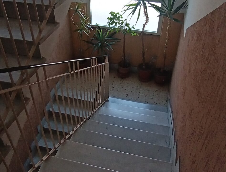 20250705_113101