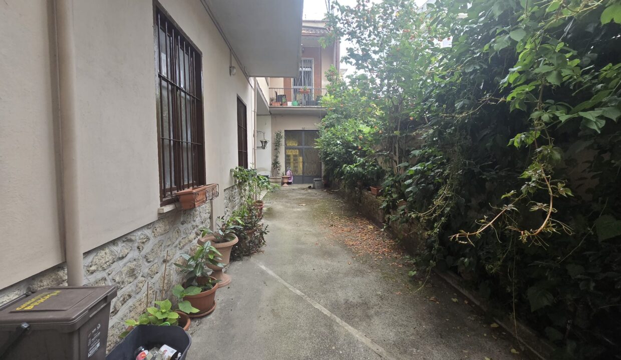 WhatsApp Image 2025-06-27 at 11.46.30 (41)